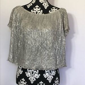 Silver short sleeve party crop top